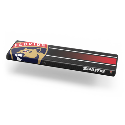 Personnalisation de la LNH – Panthers de la Floride img